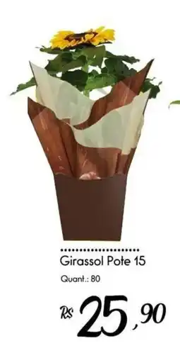 Giassi Supermercados Girassol Pote 15 oferta