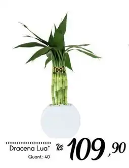 Giassi Supermercados Dracena lua oferta