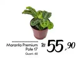 Giassi Supermercados Maranta premium oferta