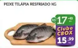 CenterBox Peixe tilápia resfriado kg oferta