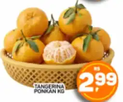 Juzan Tangerina ponkan kg oferta