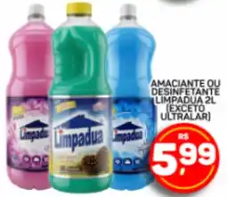 Juzan Amaciante ou desinfetante limpadua 2l oferta