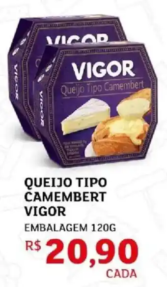 Queijo tipo camembert vigor