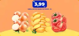Tatico cebola, batata inglesa ou tomate oferta