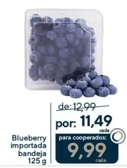 Coop Blueberry importada bandeja oferta