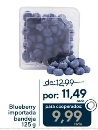 Coop Blueberry importada bandeja oferta