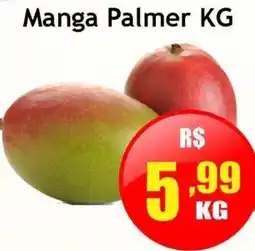 Supermercado Kibe Manga palmer kg oferta