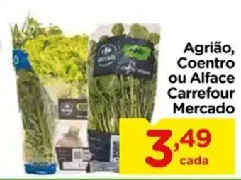Agrião, Coentro ou Alfice