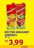 Assaí Atacadista Maguary - néctar oferta