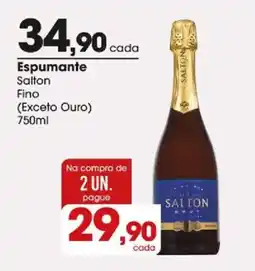 Zaffari Espumante Salton Fino oferta