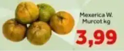 Shibata Supermercados Mexerica W. Murcot kg oferta