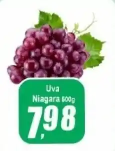 Panelão Uva Niagara oferta