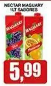 Supermercados Paraná Nectar maguary 1lt sabores oferta