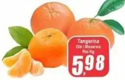 Panelão Tangerina Ole / Mexerica Rio oferta