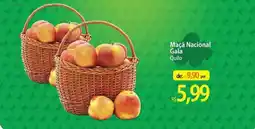 Atacadão Nacional - maçã nacional gala oferta