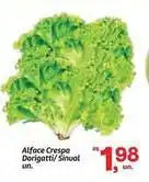 Fort Atacadista Alface crespa dorigatti/sinval oferta