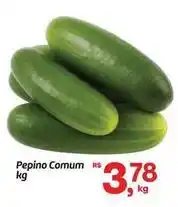 Fort Atacadista Rs - pepino comum oferta