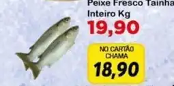 Chama Supermercados Peixe fresco tainha inteiro kg oferta