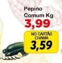 Chama Supermercados Pepino Comum oferta
