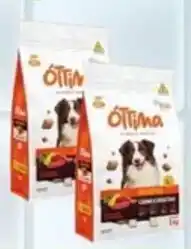 Chama Supermercados Ótima comida para cães oferta
