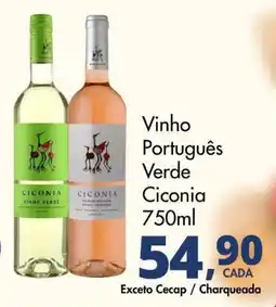 Delta Supermercados Vinho Português Verde Ciconia oferta