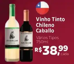 Supermercados Mateus Vinho Tinto Chileno Caballo oferta
