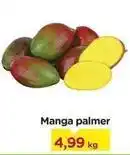 Carrefour Manga palmer oferta
