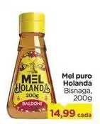 Carrefour Baldoni - mel puro holanda oferta