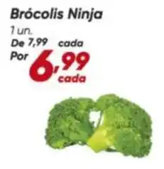 Dia Ninja - brócolis ninja oferta