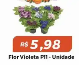 Mart Minas Flor Violeta P11 oferta