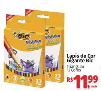 Lápis de Cor Gigante Bic