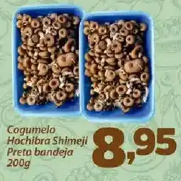 Confiança Supermercados Cogumelo Hochibra Shimeji Preto bandeja oferta
