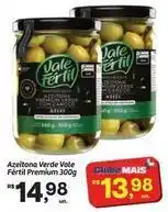 Fort Atacadista Vale - azeitona verde fértil premium oferta