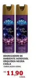 Assaí Atacadista Coala - odorizador de ambiente aerossol oferta