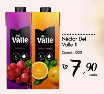 Giassi Supermercados Néctar Del Valle 1l oferta