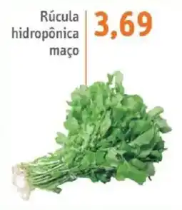 Sonda Rúcula hidropônica maço oferta