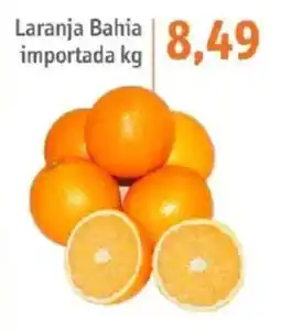 Sonda Laranja bahia importada kg oferta