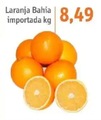 Sonda Laranja bahia importada kg oferta
