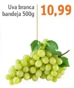Sonda Uva branca bandeja oferta