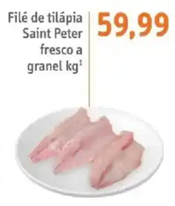 Sonda Filé de tilápia saint peter fresco a granel oferta