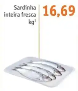 Sonda Sardinha inteira fresca oferta