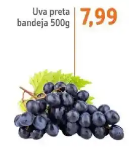 Sonda Uva preta bandeja oferta