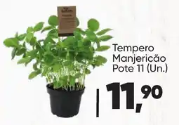 Imec Supermercados Tempero Manjericão oferta