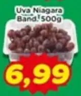 Fonte Nova Uva Niagara Band oferta