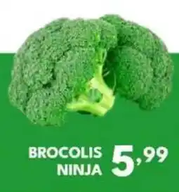 Rede Plus Supermercados brocolis ninja oferta