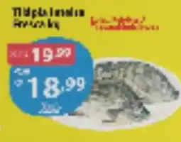 GoodBom Tilápia fresca kg oferta