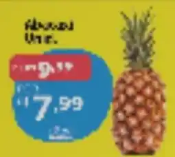 GoodBom Abacaxi oferta