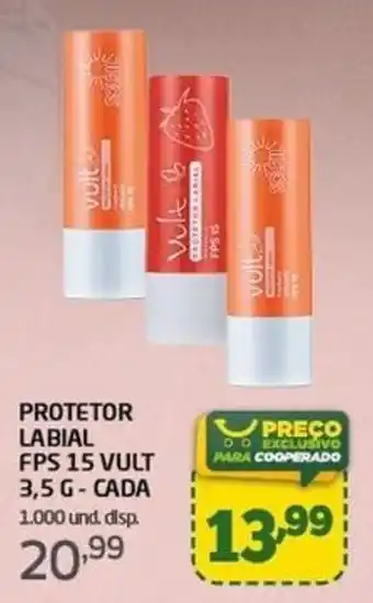 Protetor labial fsp 15 vult