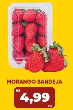Tatico Morango bandeja oferta