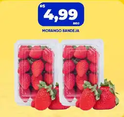 Tatico Morango bandeja oferta